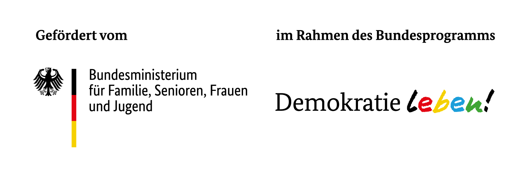 BMFSFJ_DL_mitFoerderzusatz (2)